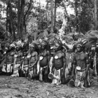 Dobodura Natives "Sing Sing" 6