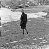 1984 Distinguished, Caroline Glassman 08