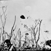 A couple of paratroopers can be seen in the sky with their parachutes fully deployed.  A military plane is also in the sky near them.  In the foreground there are a few soldiers standing by some desolate foliage.