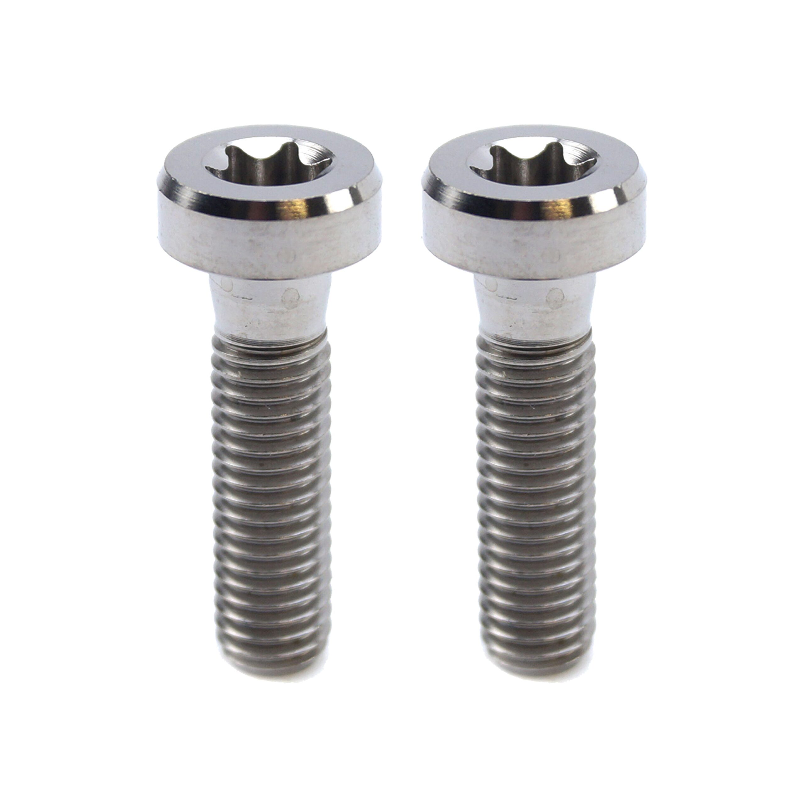 GR5 SCREW M8X30 TORX45 PK2, TITANIUM – KTM 0035080306S