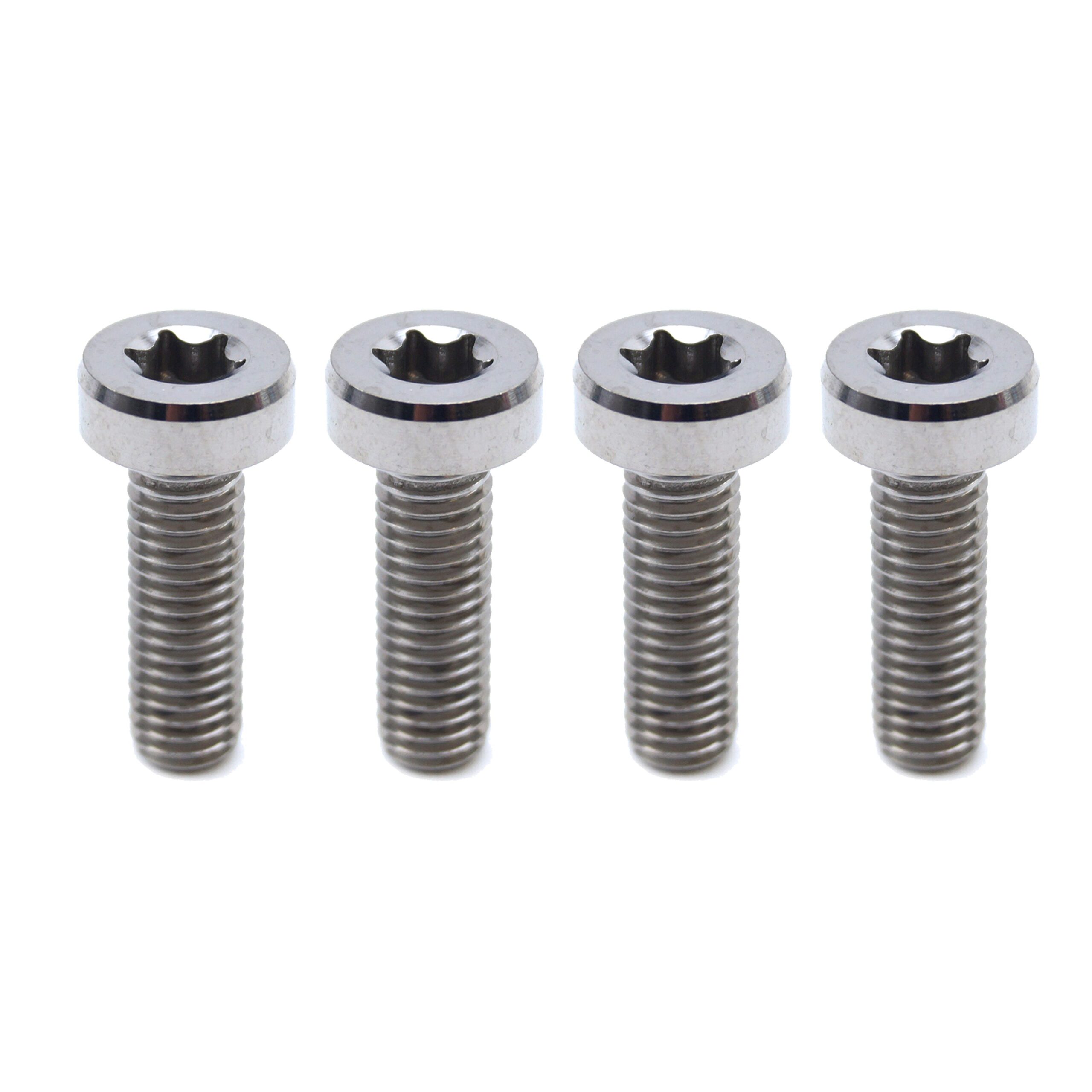 GR5 SCREW M8X25 TORX45 PK4, TITANIUM - KTM 0035080256, / 0035080256S - Image 2