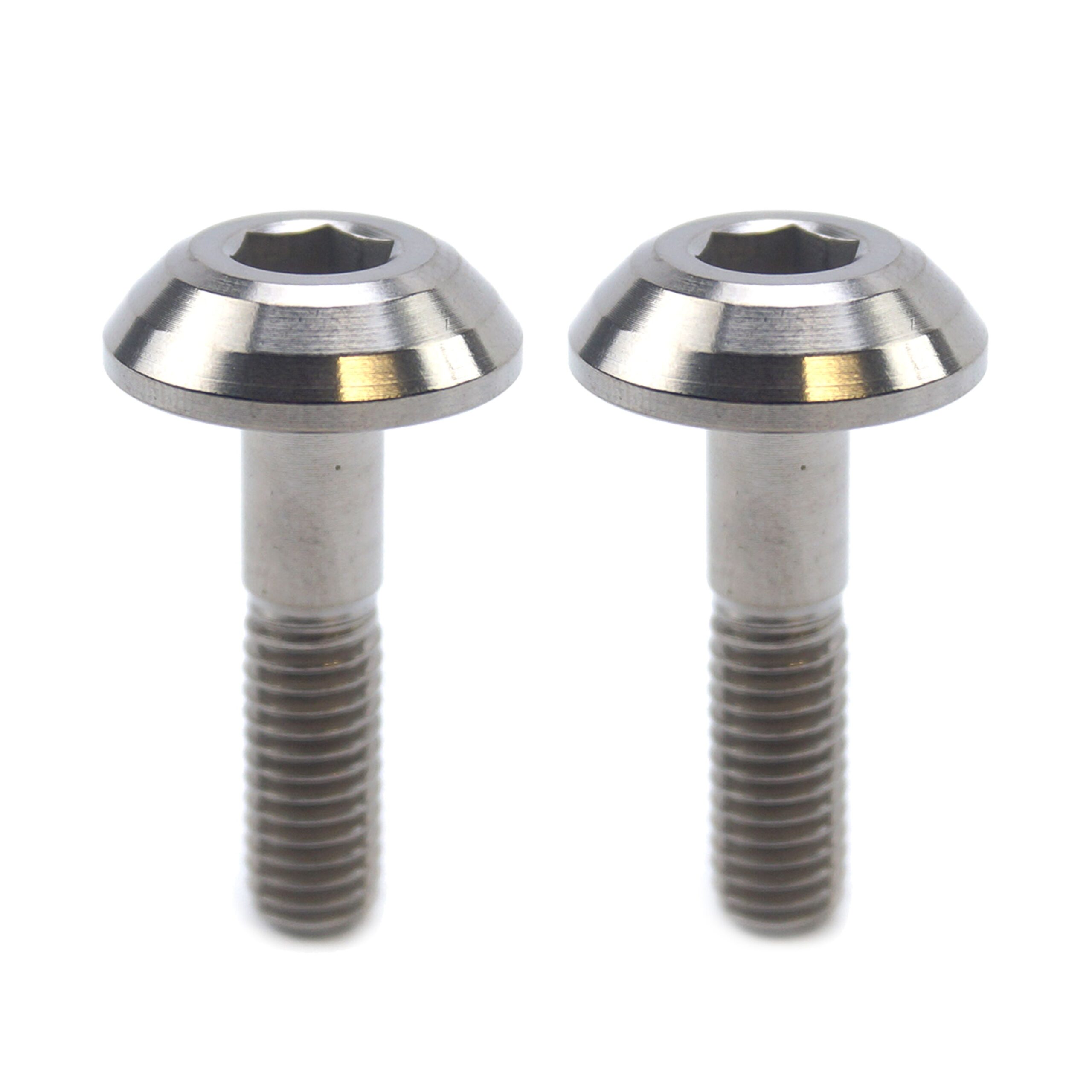 TITANIUM GR5 PANEL BOLT M6X25mm, PACK OF 2 / METRIC COARSE