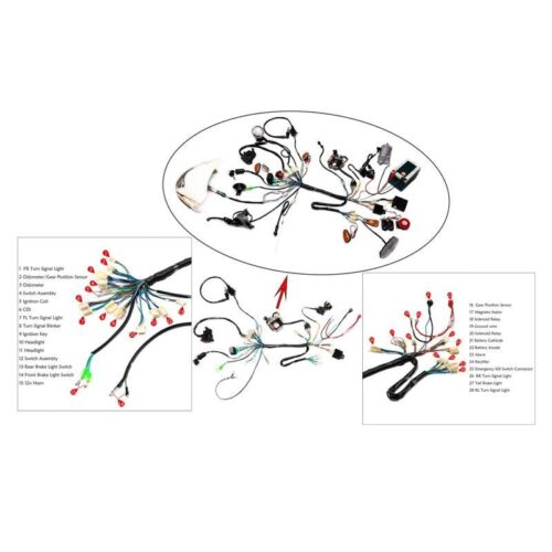 WIRING LOOM LIFAN ENGINE 125-150, ELECTRIC START, LIGHTING LOOM