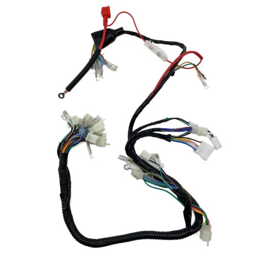 WIRING LOOM HARNESS LIGHTS HONDA CG125