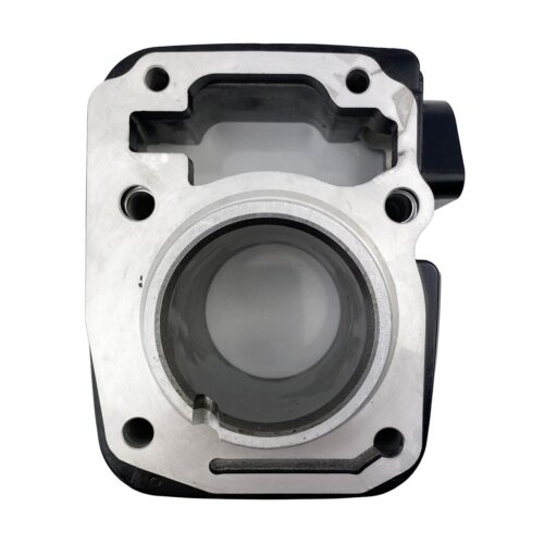 CYLINDER KIT STD 52.40 2015-2019 HONDA CB125F GLR125 12100-KSW-E90