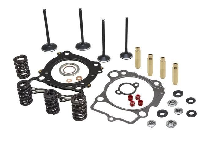 CYLINDER HEAD SERVICE KIT, KIBBLEWHITE 30-33360, SPRINGS VALVES HEAD GASKETS