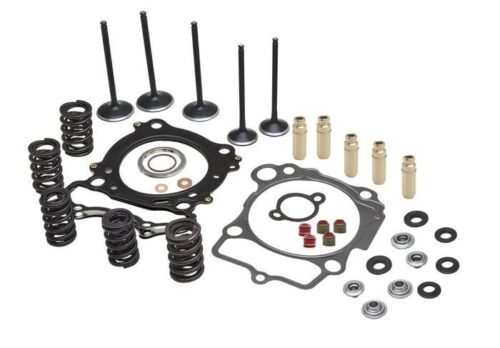 CYLINDER HEAD SERVICE KIT, KIBBLEWHITE 80-82400, SPRINGS VALVES HEAD GASKETS