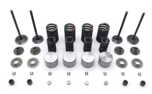 Valve Spring Assembly Kit KAWASAKI, KLX 250 300 D-TRACKER LONCIN VOGE