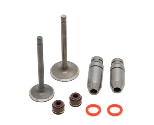 Valve Intake & Exhaust Seals and Guides Yamaha TTR 125 E 2000 – 2016