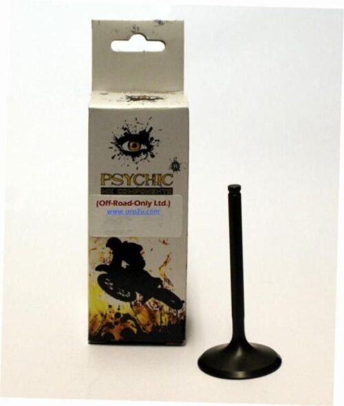 VALVE INTAKE 1UY-12111-01-00, PSYCHIC AU-09156I YAMAHA