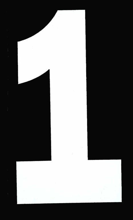 1 WHITE ISDE No1 5.25in