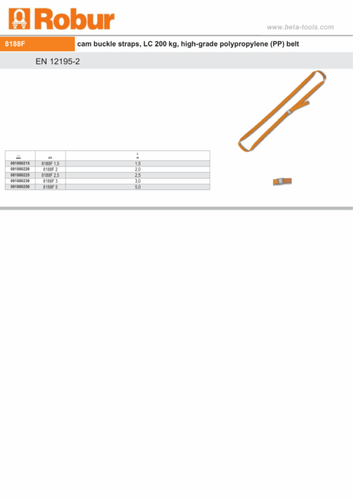 Cam Buckle Straps 200kg High-Grade Polypropylene 2.5m – Robur 8188F 2,5