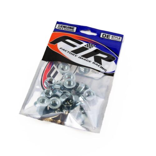 M10 x 1.25mm FLANGE NUT, PACK OF 20