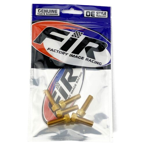 8×25 GOLD PACK/6 ALLOY