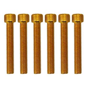 8×50 GOLD PACK/6 ALLOY