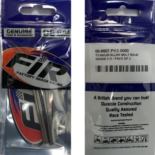 TITANIUM ALLEN BOLT M6x80, GRADE 5 TI – PACK OF 2