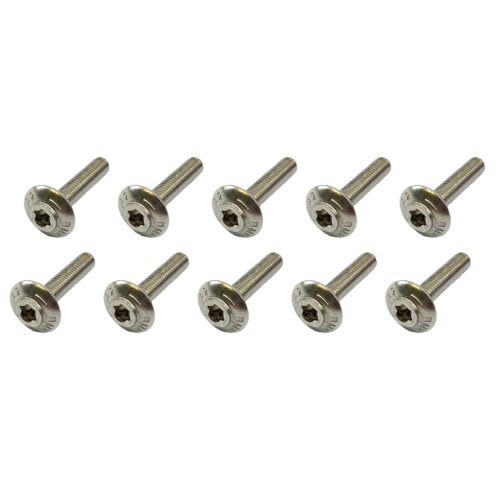 BMW STAINLESS STEEL SHELL SCREWS BOLTS M5X25 PACK OF 10 46638534939