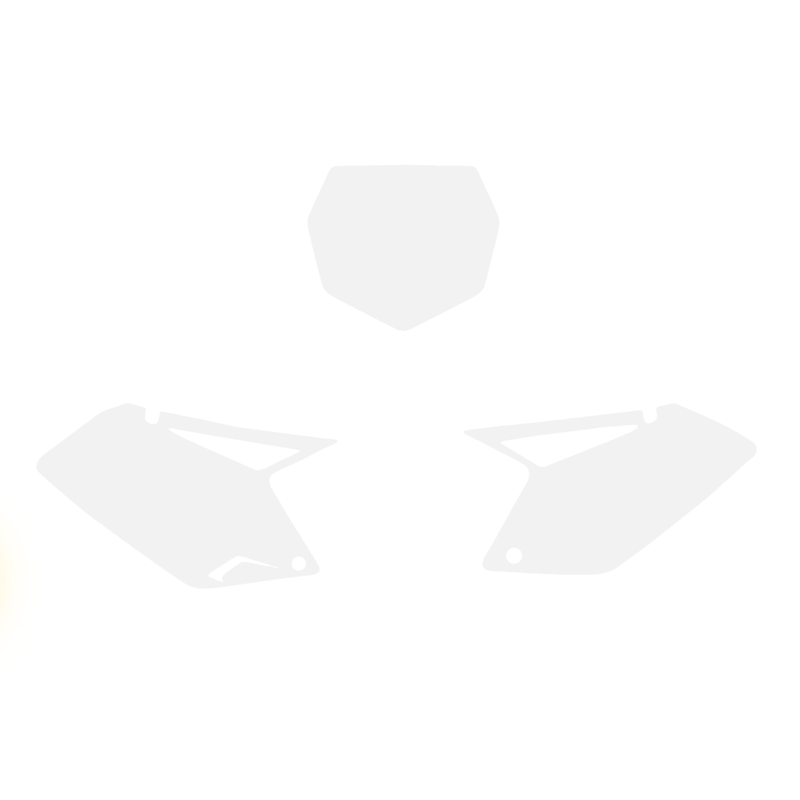 07-09 RMZ250 BACKGROUNDS