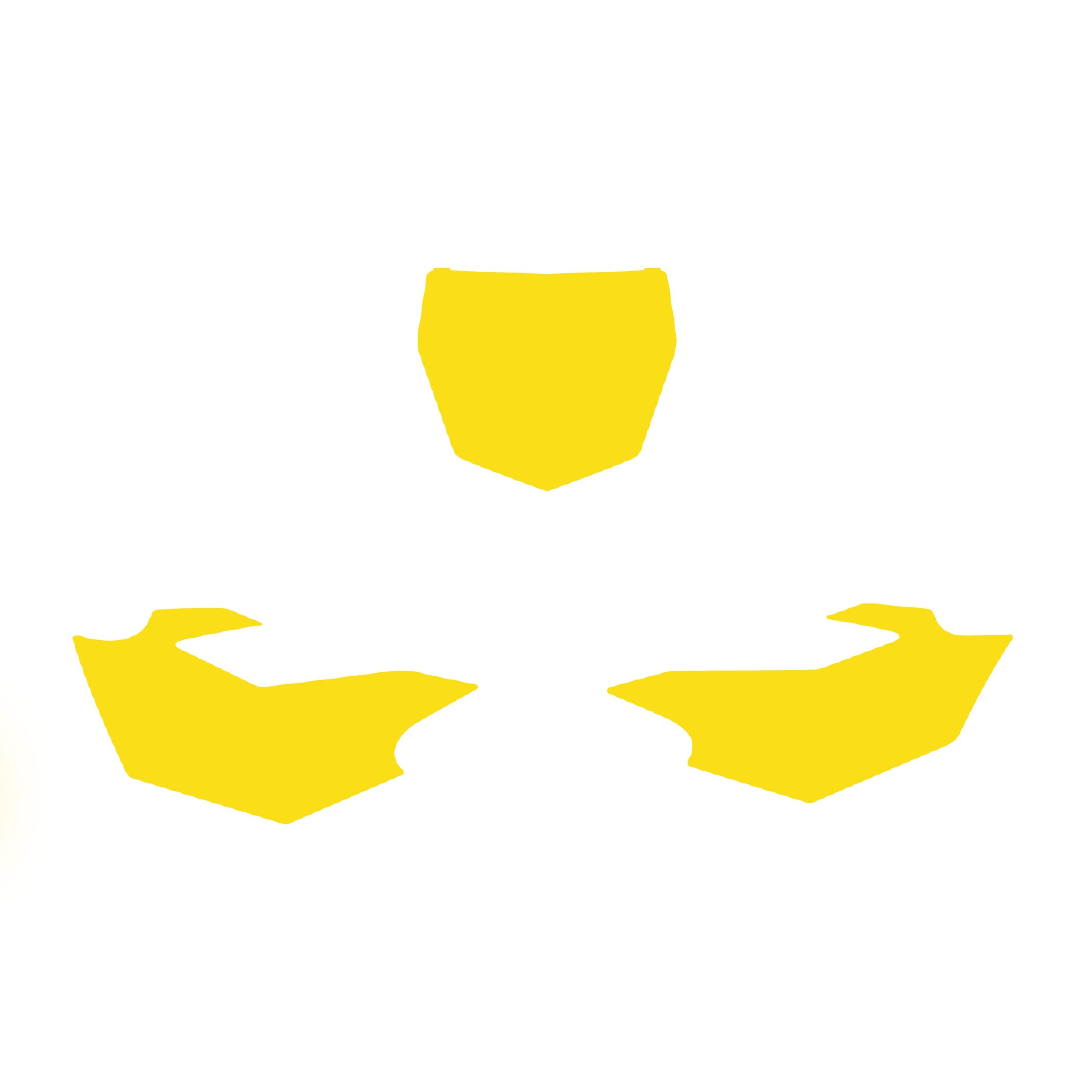 2019-23 WRF450 BACKGROUNDS, YELLOW BLACKBIRD 3230/40