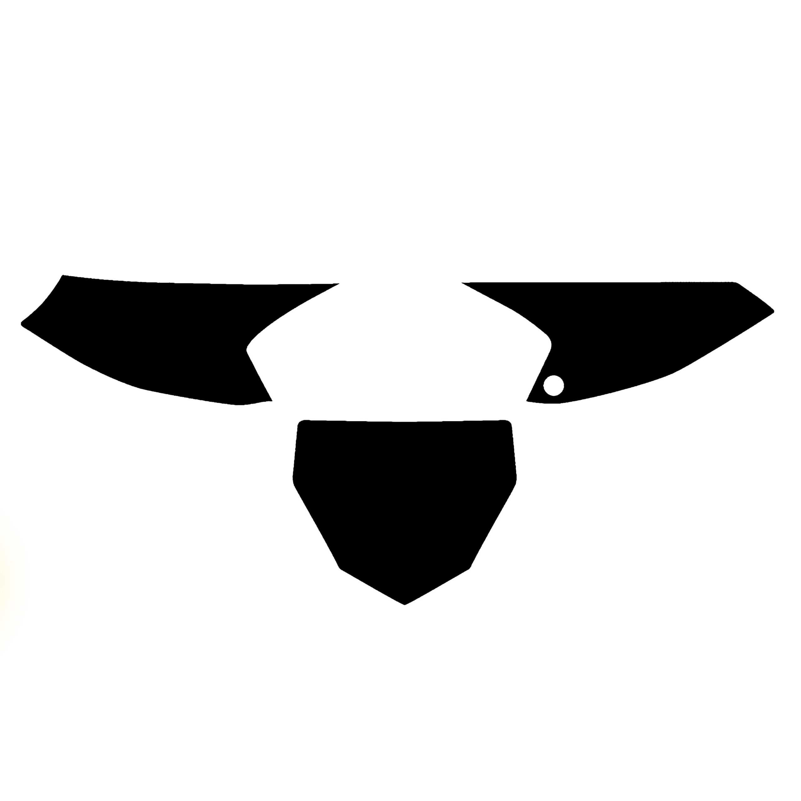 2019-24 YZ 65 BACKGROUNDS, BLACK BLACKBIRD 3229/20