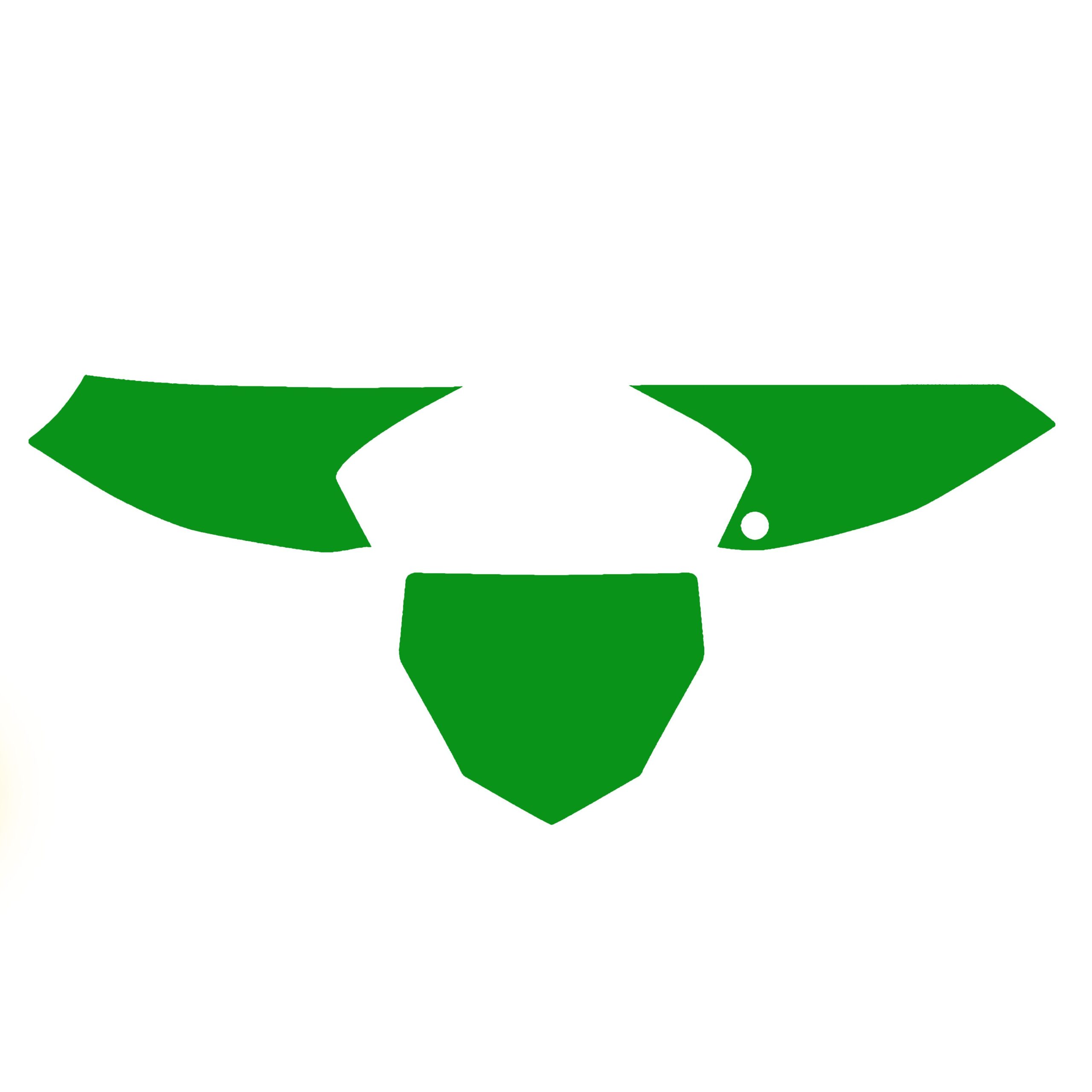 2019-24 YZ 65 BACKGROUNDS, GREEN BLACKBIRD 3229/30 - Image 2