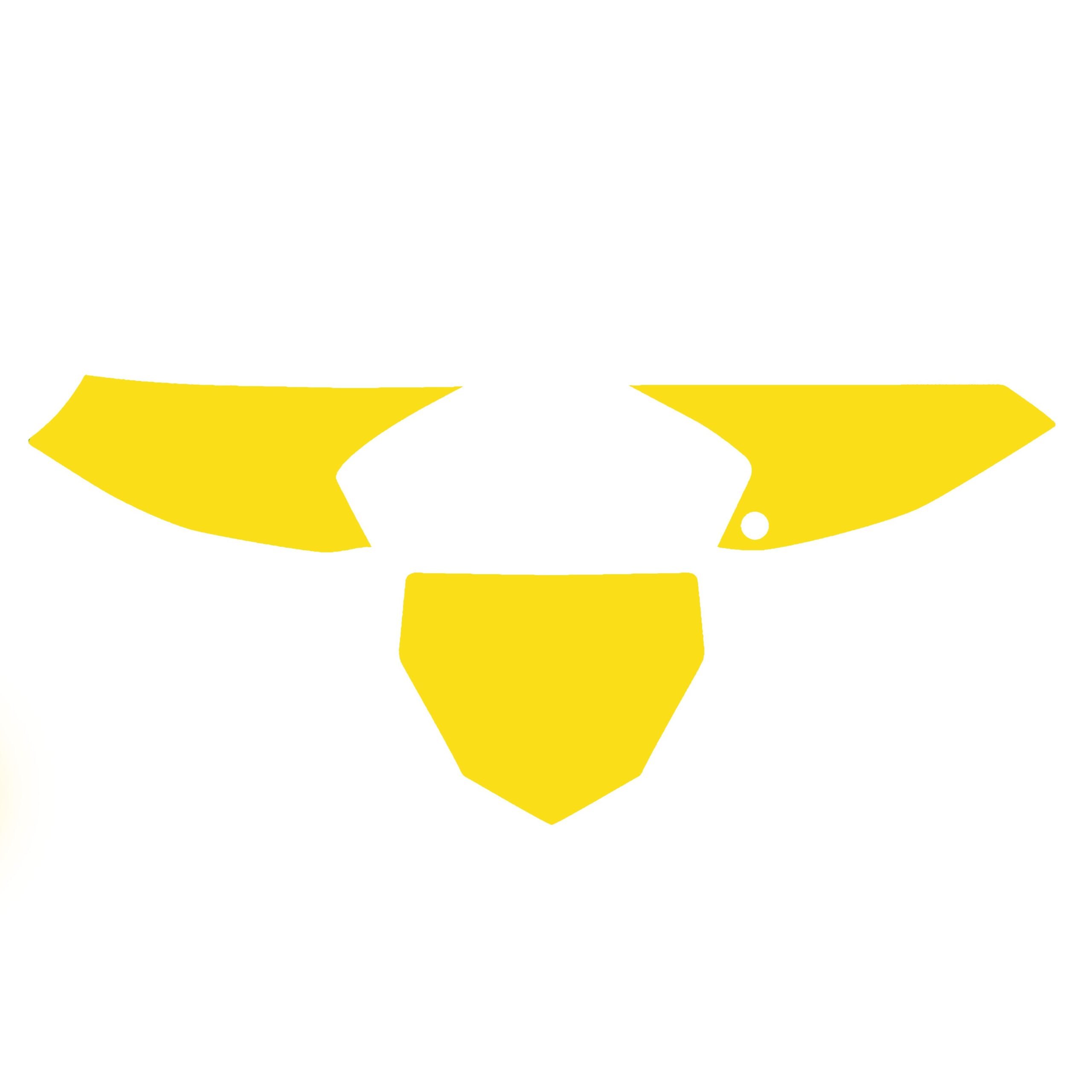 2019-24 YZ 65 BACKGROUNDS, YELLOW BLACKBIRD 3229/40 - Image 2