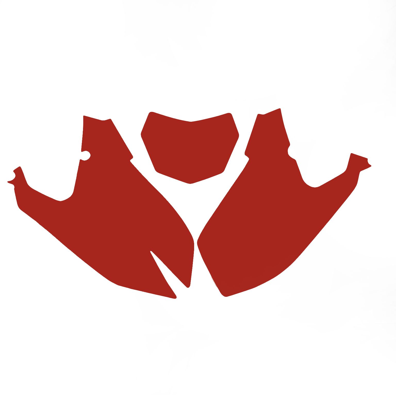 FANTIC XXF 450 2024-2025 PRE CUT BACKGROUNDS, BLACKBIRD 3F05/60 RED NUMBER BOARDS - Image 2