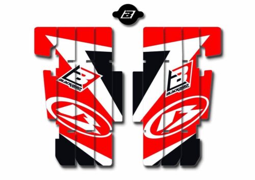 13-19 BETA RR RAD LOUVERS, DECALS AB01E BLACKBIRD