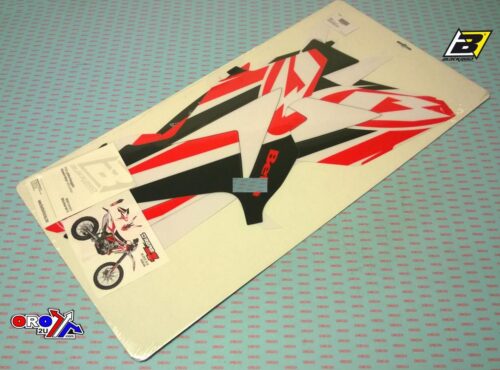 BETA RR 2T 4T 18-19 DREAM4, BLACKBIRD DECAL KIT, 2B04N