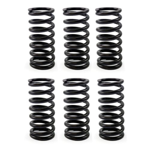 CLUTCH SPRING HD SET/6 [CSK80]