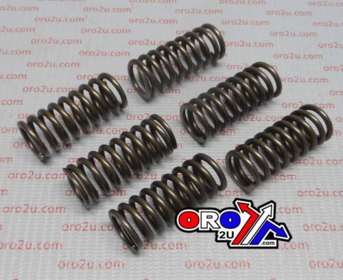 CLUTCH SPRING KIT CSK081