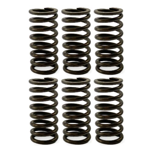 CLUTCH SPRING HD SET/6 [CSK91]