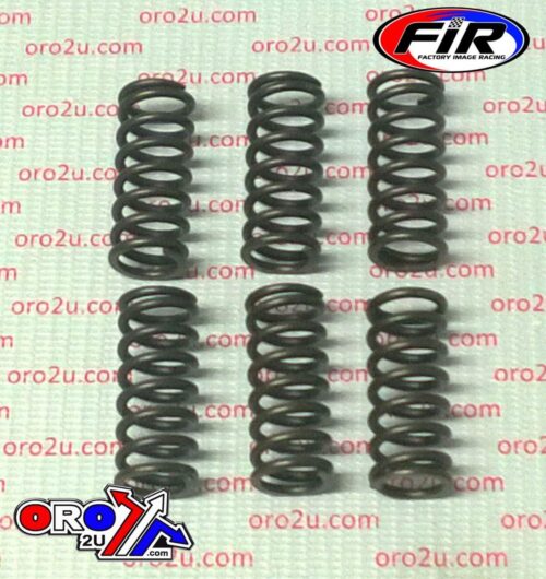 CLUTCH SPRING HD SET/6 [CSK125] LTR450