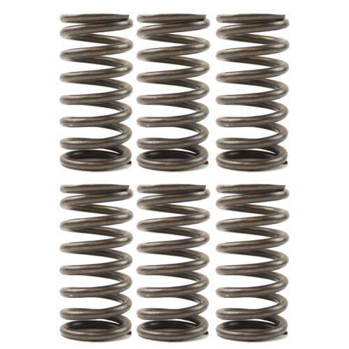 CLUTCH SPRINGS EBC CSK136