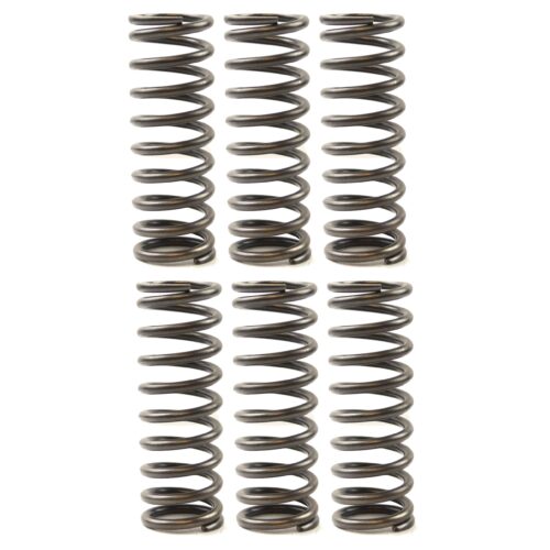 CLUTCH SPRING SET EBC CSK119