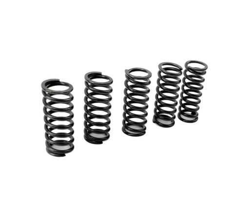 CLUTCH SPRING KIT, PROX 17.CS22031 MADE IN JAPAN