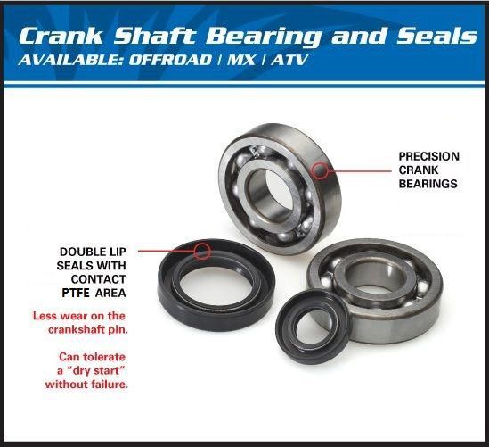 CRANKSHAFT BEARING & SEAL KIT, ALLBALLS 24-1047 KX250 02-07
