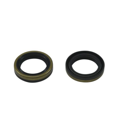 CRANKSHAFT SEAL KIT BETA EVO 2T ALLBALLS 24-2042 DIRT