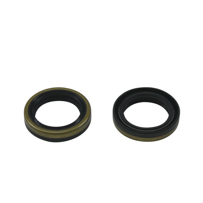 CRANKSHAFT SEAL KIT BETA EVO 2T ALLBALLS 24-2042 DIRT