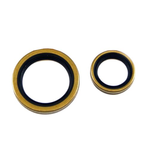 CRANKSHAFT SEAL KIT ALLBALLS, ALLBALLS 24-2043, Beta EVO 4T 250 09-18, EVO 4T 300 09-20