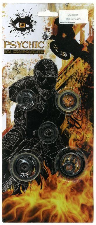 OIL SEAL SET ENGINE RM125, PSYCHIC MX-09268 RM125 04-08, 7pcs