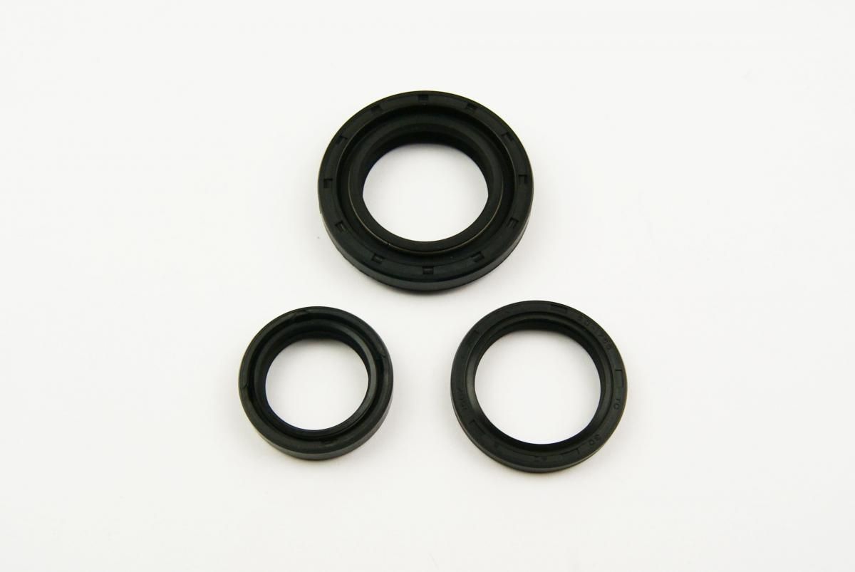 OIL SEAL SET MAICO 250/400/450, WINDEROSA 822121 - Image 2