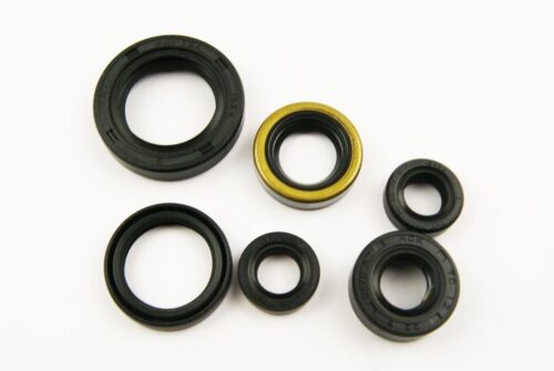OIL SEAL SET DR350 90-99, WINDEROSA 822194