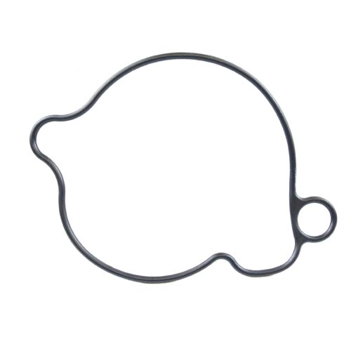 WATER PUMP COVER GASKET