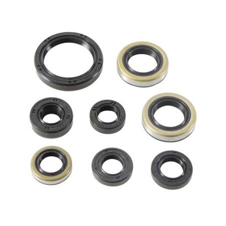 ENGINE OIL SEAL SET KX 450 16-18, PSYCHIC MX-09241 822485 P400250400066 KAWASAKI