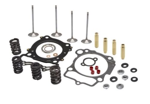 CYLINDER HEAD SERVICE KIT, KIBBLEWHITE 40-41500, SPRINGS VALVES HEAD GASKETS