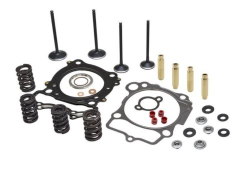 CYLINDER HEAD SERVICE KIT, KIBBLEWHITE 40-41480, SPRINGS VALVES HEAD GASKETS