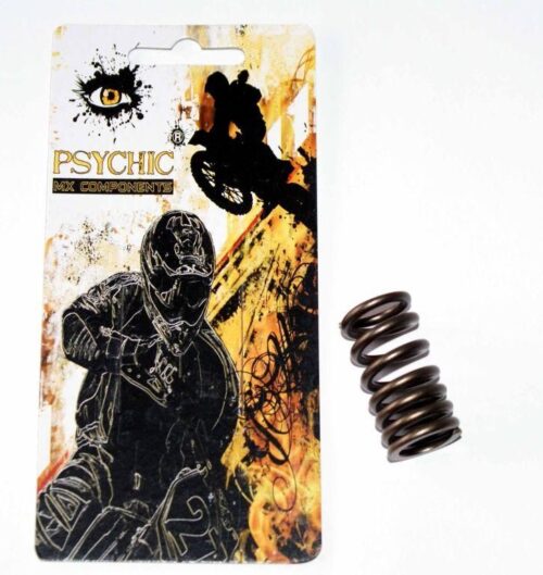 SPRING IN VALVE RMZ450 LTR450, PSYCHIC XU-09536IS