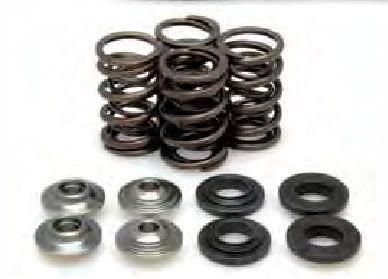 VALVE SPRING KIT KTM250 05-07, KIBBLEWHITE 96-96090 RACING