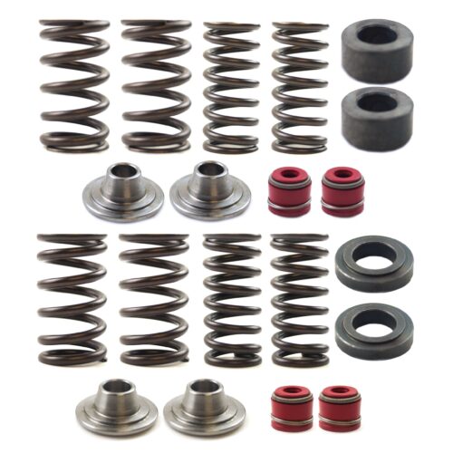 VALVE SPRING SET CRF250R 08-09, KIBBLEWHITE 30-31310 RACING, LIGHTWEIGHT KIT